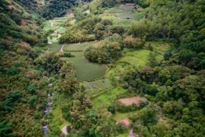 第1名：七彩琉璃咖啡莊園 - Taiwan COE 2025