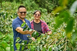 第1名：七彩琉璃咖啡莊園 - Taiwan COE 2025