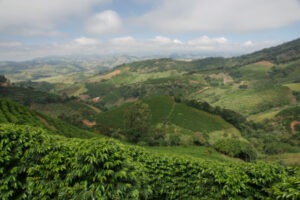 Brazil COE 2025 - Experimental N3