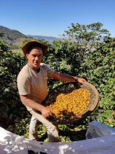 Brazil COE 2025 - Experimental N3