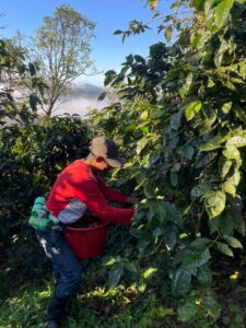 Abner Samuel Zavala -Lavado - Finca El Cambalache_001_Nicaragu_COE_2026