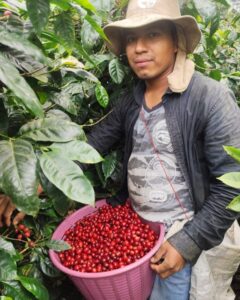 18. Byron Alexander Rodriguez Zuniga-Natural- Finca San Isidro. Nueva Segovia_001_Nicaragu_COE_2026