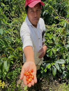 2. Coffee Libre- Finca La Furiosa- Lavado_002_Nicaragu_COE_2026