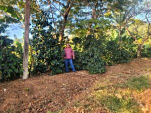 5. Guillermo Montengro Ayestas- Lavado- Finca El Poste_001_Nicaragu_COE_2026