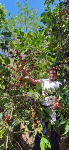 COE 1 E - San Andrés-_El_Salvador