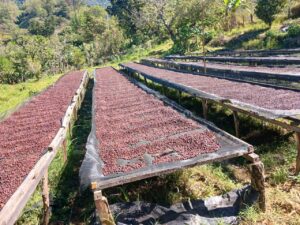 COE 1 E - San Andrés-_El_Salvador
