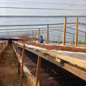 COE 1 E - San Andrés-_El_Salvador