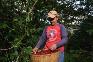 COE 1 WH - LA ESPERANZA_LA ESPERANZA 1_-_El_Salvador
