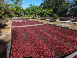 COE 2 E - El Carmen_El_Salvador