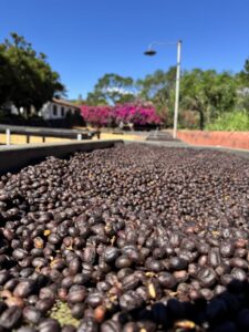 COE 3 E - El Cerro-_El_Salvador