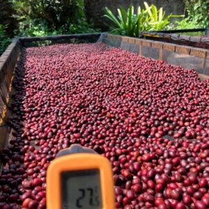 COE 6 E - Santa Rita_El_Salvador