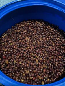 COE 6 E - Santa Rita_El_Salvador