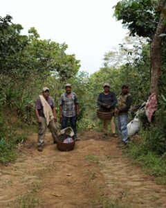 COE 6 N - La Siberia_El_Salvador