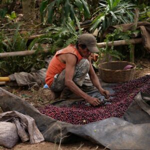 COE 6 N - La Siberia_El_Salvador