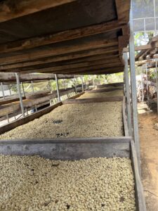 COE 6 WH - Don Jaime_IMG_9364_-_El_Salvador