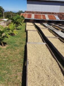 COE 9 E - Santa Elena_1_-_El_Salvador